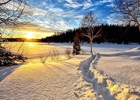 冬天来了，春天还会远吗？