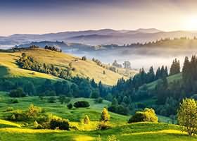 关于“林三随笔”更名“木本无心”的原因