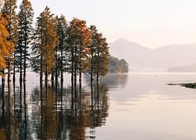 冬天来了，春天还会远吗？