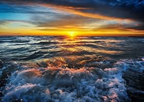 关于“林三随笔”更名“木本无心”的原因